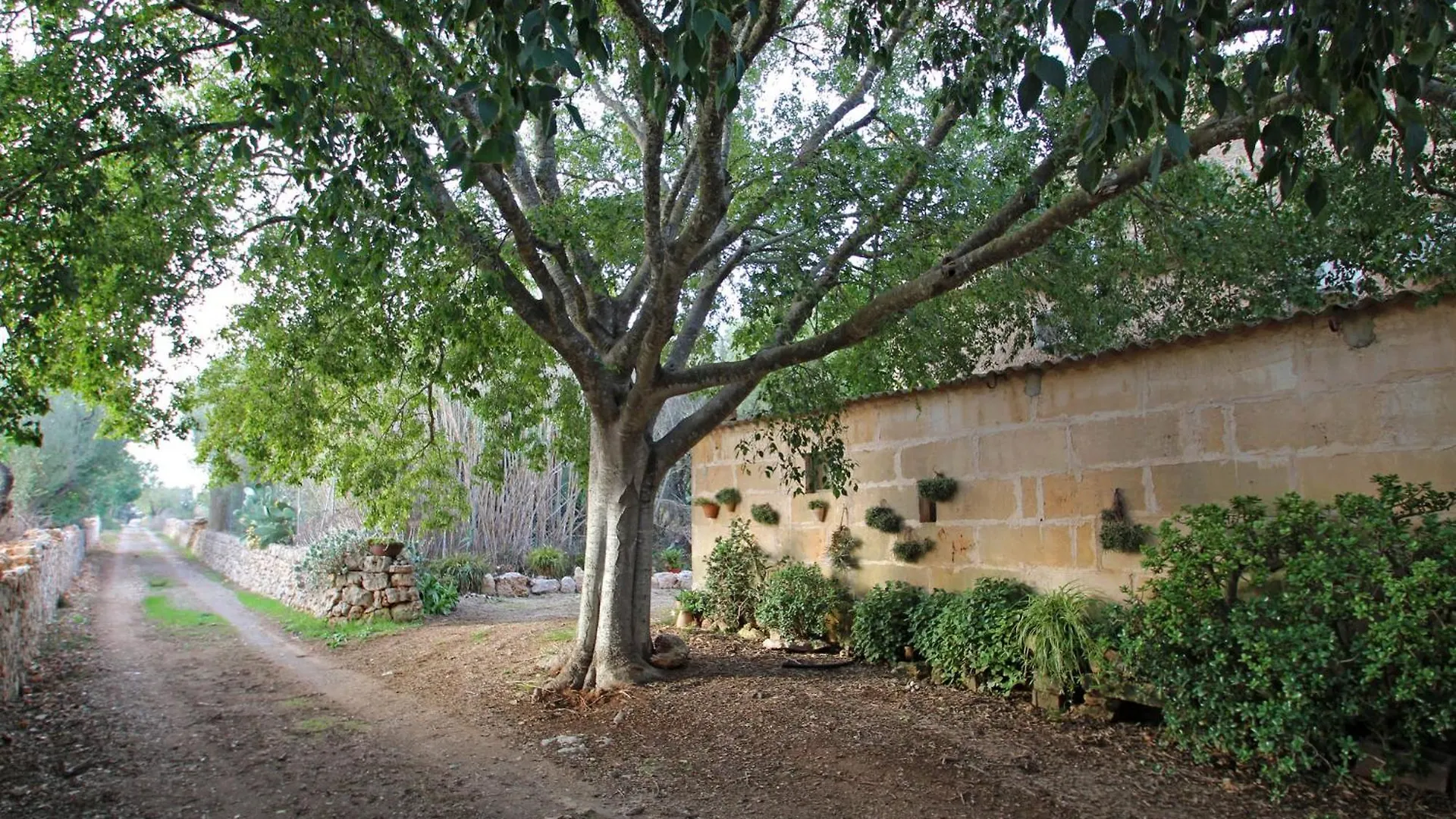 Finca Son Xuric Villa Felanitx 0*,  Spain